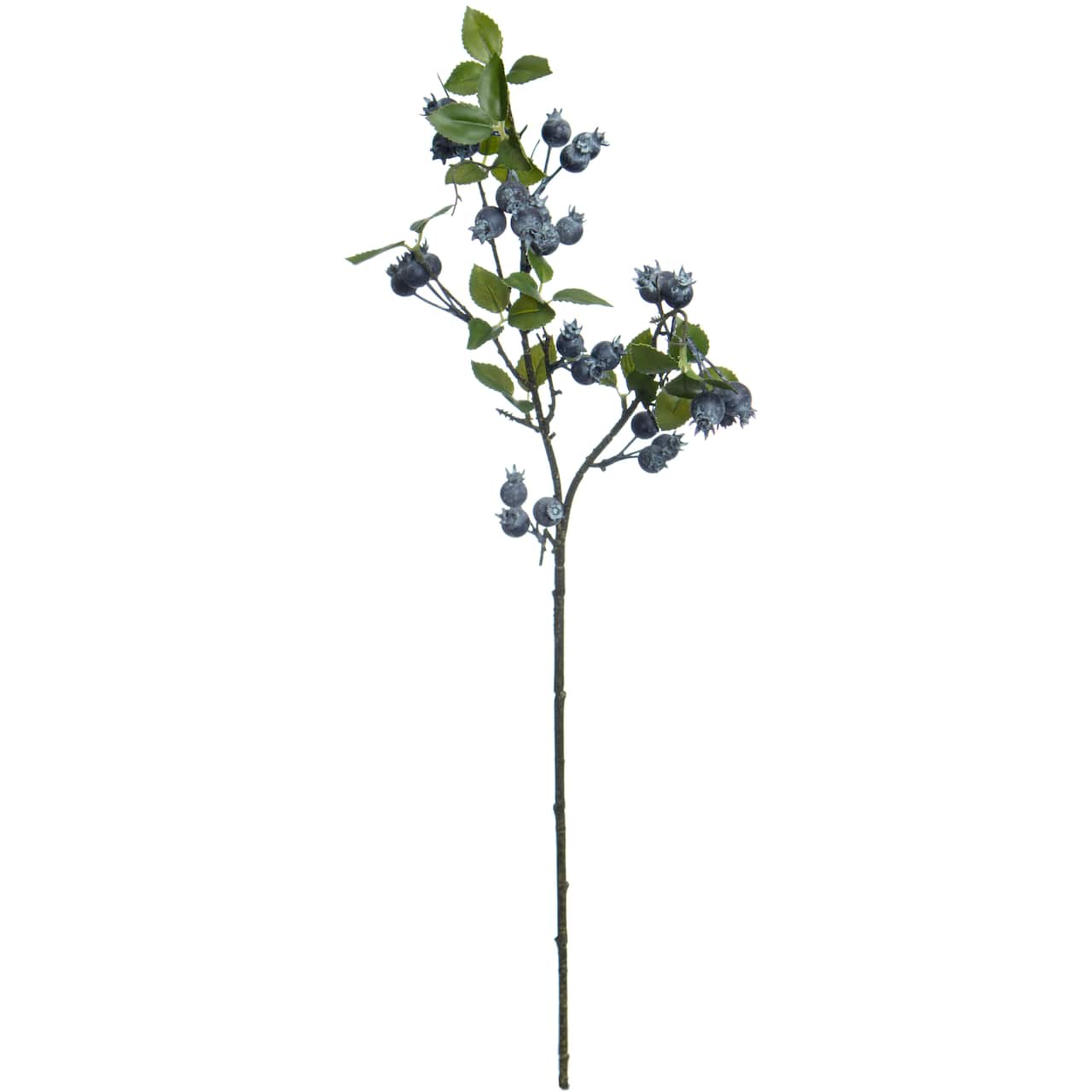 30" Blueberry & Leaf Stem by Ashland®